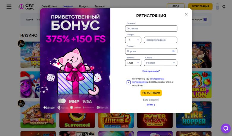 Как зарегистрироваться в казино Cat Casino 